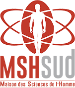 logo_msh_CARRE.png